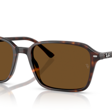 Ray-Ban Raimond RB2231 902/57 havana – schuin vooraanzicht