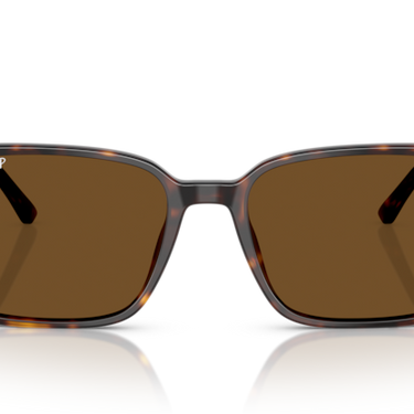 Ray-Ban Raimond RB2231 902/57 havana – vooraanzicht