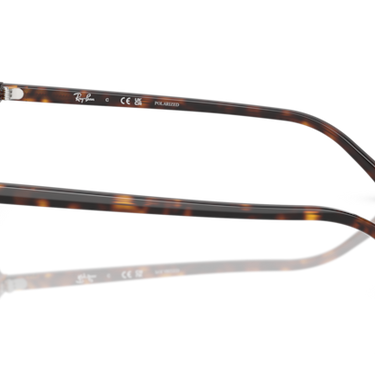 Ray-Ban Raimond RB2231 902/57 havana – zijaanzicht