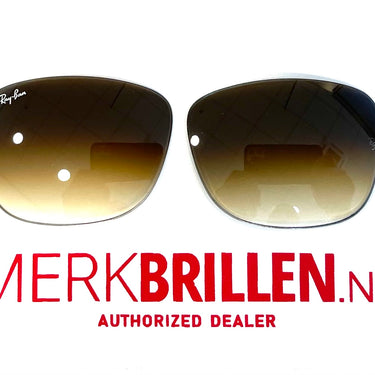 Set glazen voor Ray-Ban RB4174 bruin gradiënt