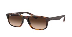 Ray-Ban Active Lifestyle RB4234 620513
