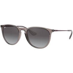 Ray-Ban Youngster RB4171 65138G Transparent Gray