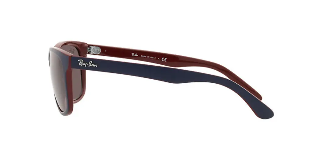 Ray-Ban RB4181 65697N Matte Blue on Brown